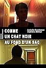 Comme un chat noir au fond d'un sac (2006)