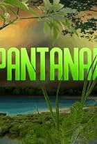 Pantanal (1990)