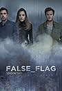 False Flag (2015)