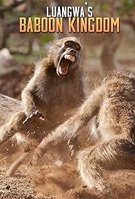 Primary photo for Luangwa's Baboon Kingdom