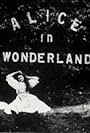 Alice in Wonderland (1903)