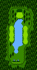 In-game map of a hole in Golf: Professional Course