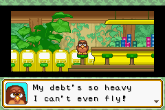 Debt's a Hoot in Mario Party Advance