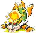 Bowser being hit by a panel