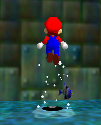 Sm64easteregg.png