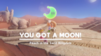 SMO Sand Moon 69.png