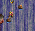 The Kongs and Parry move between two barrels on a waterfall