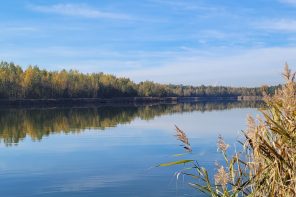 Ile urośnie córka po pierwszym okresie, jak nauczyć dziecko sceptycyzmu do treści w sieci, o rodzicach niejadków i alergików i inne szorty naukowe