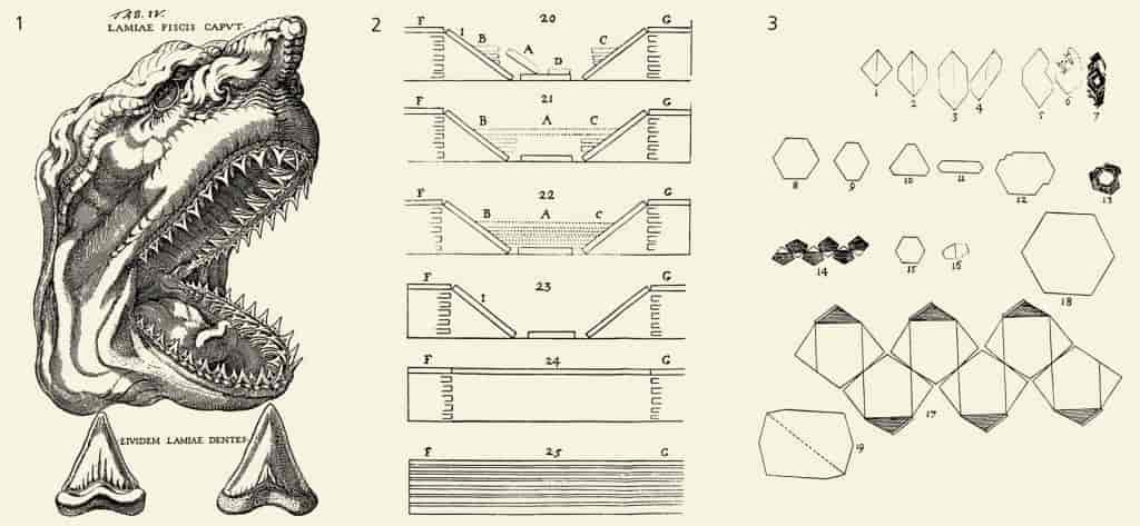 Illustrationer fra Niels Stensens geologiske værker.