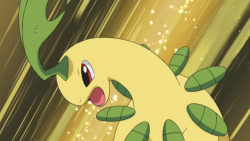 Bayleef di Ash.png