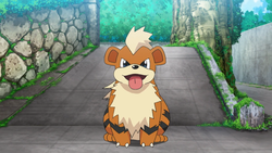 Agente Jenny Growlithe.png