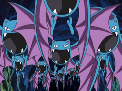 Cava sinistra Golbat.png