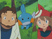 Vera Mudkip.png