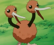 Gary Doduo.png