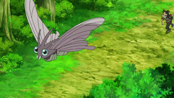 Goh Venomoth.png