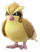 Pidgey