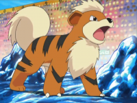 Morrison Growlithe.png