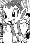 Chimler Chimchar.png