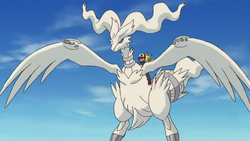 Reshiram F14.png