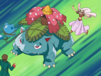 link = Venusaur di Vera