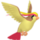 Pidgeot