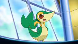 Aralia Snivy.png