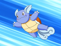 link = Wartortle di Vera