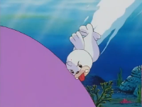 Seel Bottintesta.png