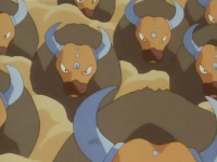 Tauros al Laramie Ranch.png