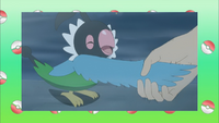 Poké Problem SL098.png