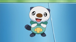 Aralia Oshawott.png