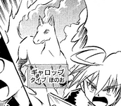 Shin Rapidash PBK.png