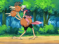 Dodrio di Lucinda.png