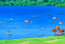 PSA Water Pokemon.png