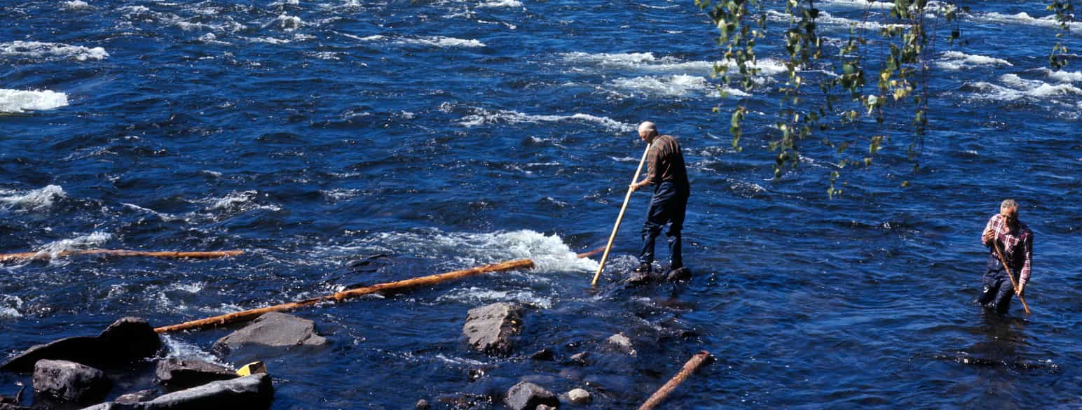 Tømmerfløting i Glomma, 1965