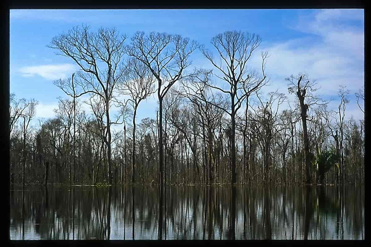 Vannkraft i Amazonas