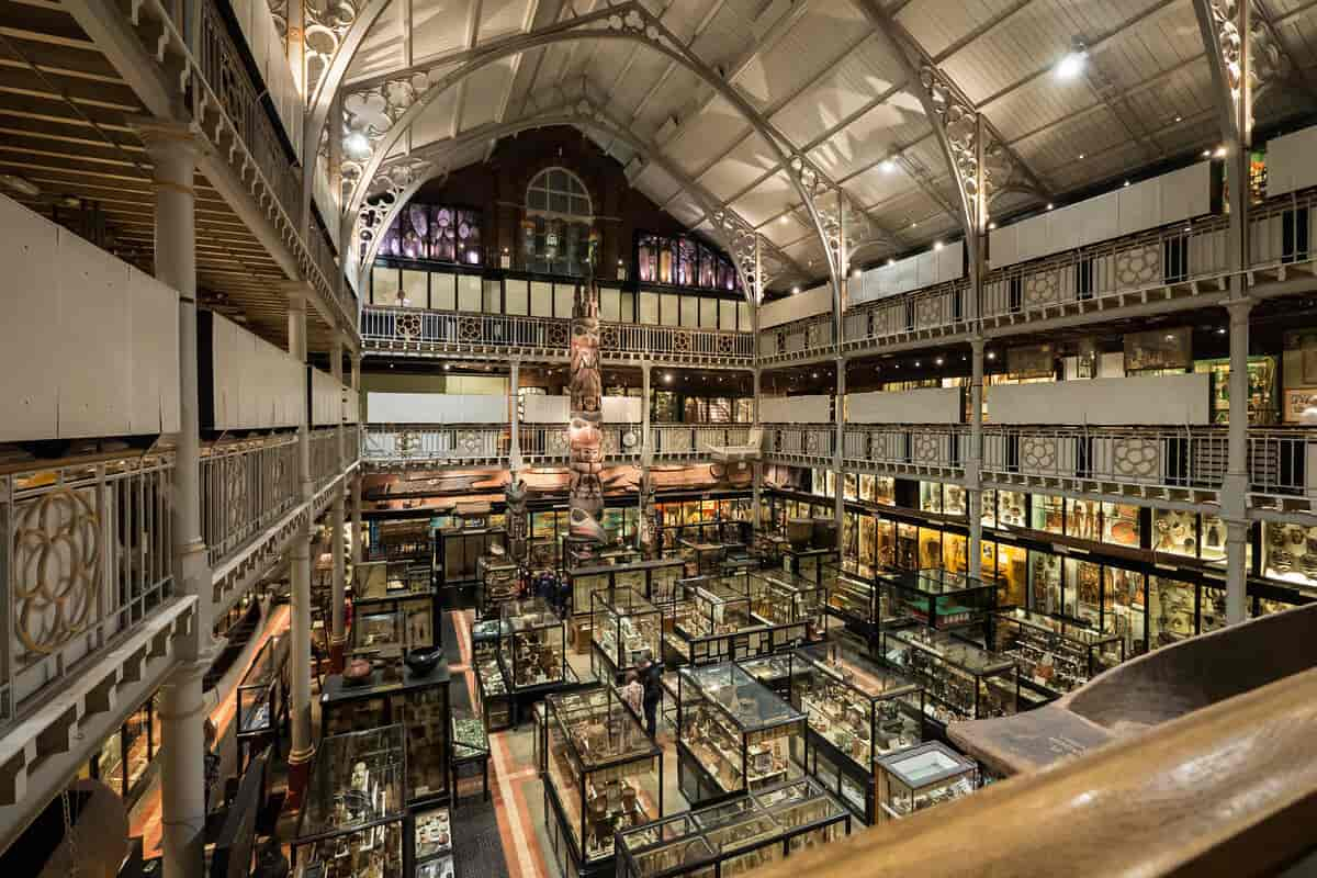 Pitt Rivers