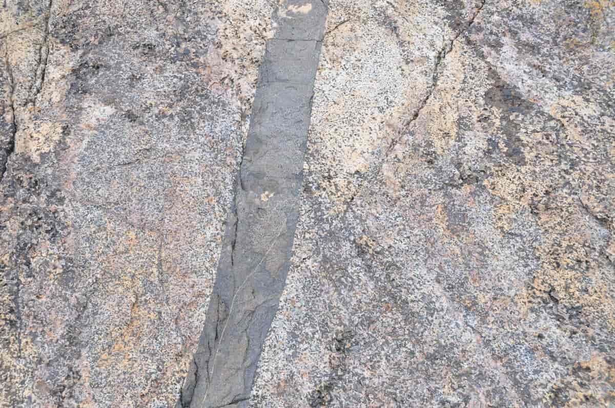 gabbro