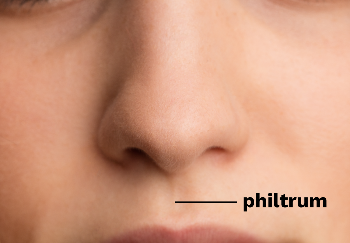 Philtrum