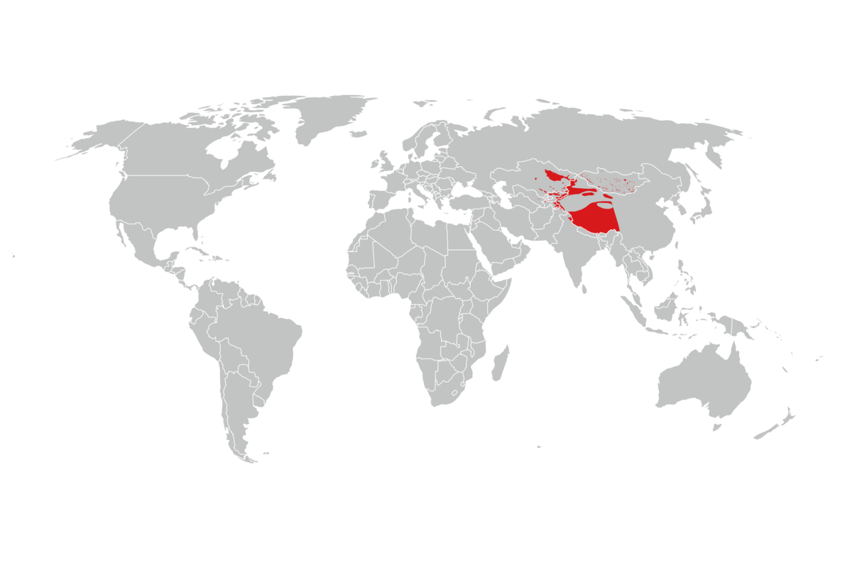 utbredelse av argalisau