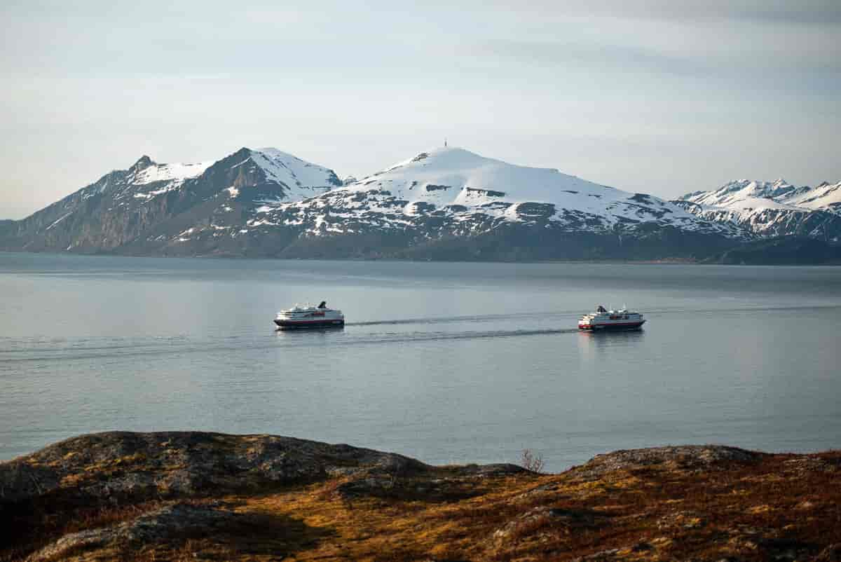 Lyngen