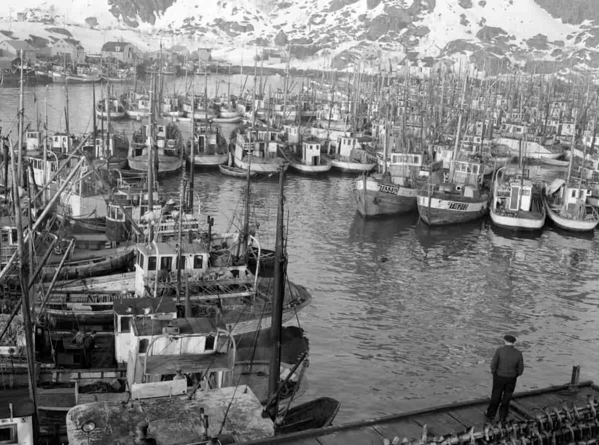 Svolvær 1956