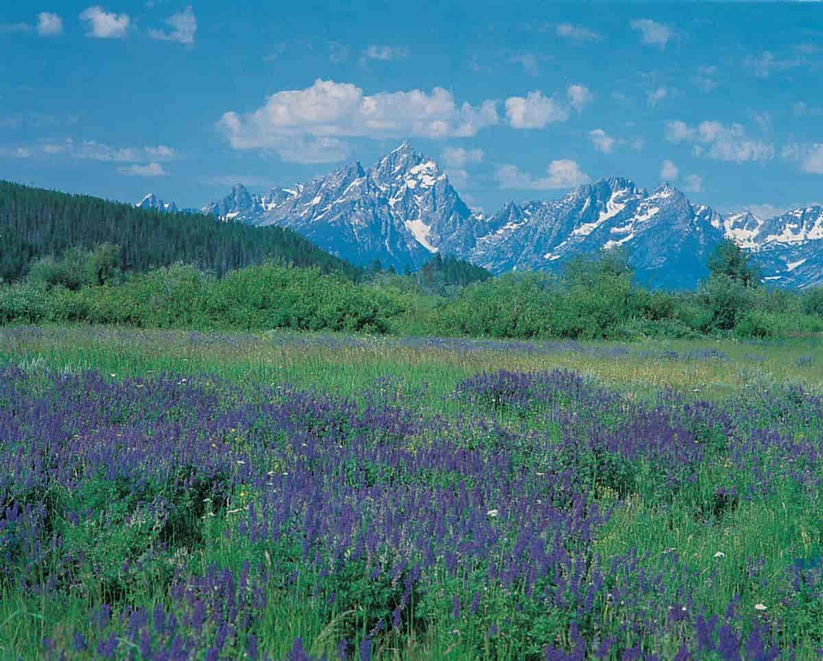 USA, Rocky Mountains