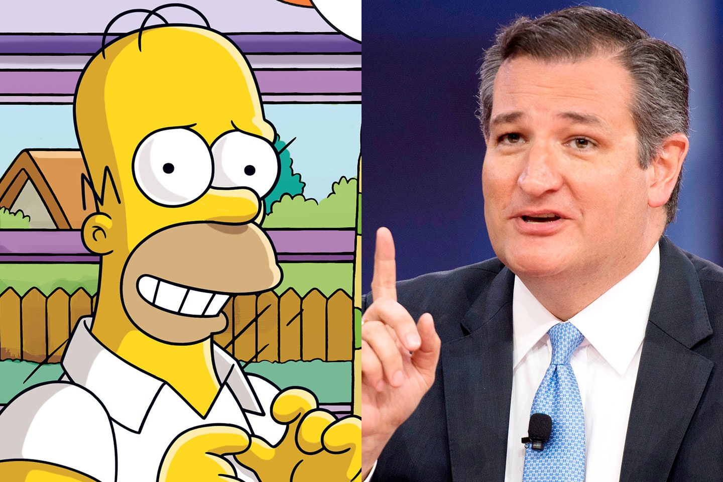 Homer Simpson Ted Cruz.