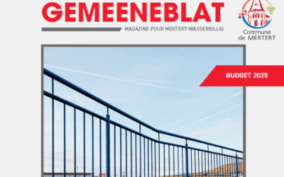 Gemeeneblat 01 2025