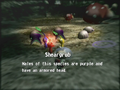 Male and Female Sheargrubs in Pikmin's enemy reel.