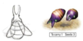 Drawing and render of the Male Sheargrub from the Pikmin Official Player's Guide. Interestingly, in the drawing it appears to have wings.