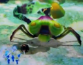 An Aristocrab eating a bomb rock held by a Pikmin.