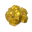 Gold Nugget