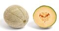 A cantaloupe melon in the real world.